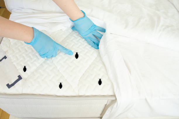 Bed-control-13.jpg