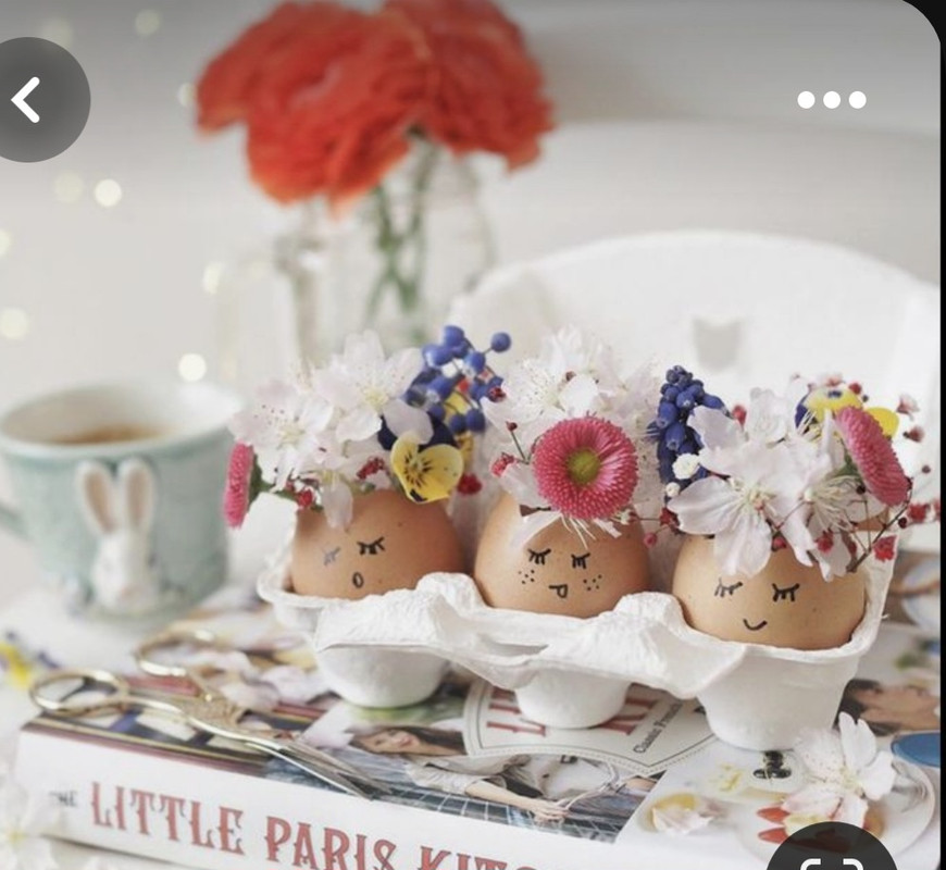 Screenshot_20230317_002506_Pinterest