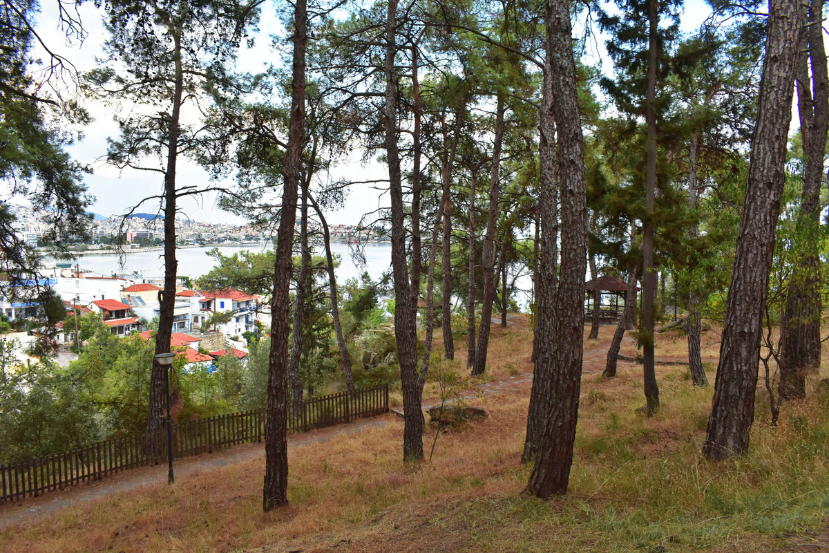 Άλσος της Παναγούδας (14)