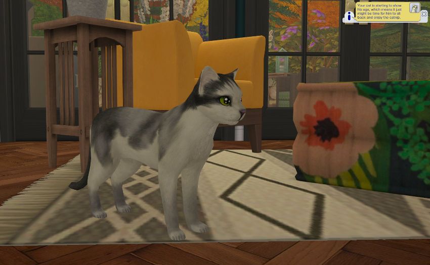 Sims2-EP9-2021-01-29-20-47-35-89