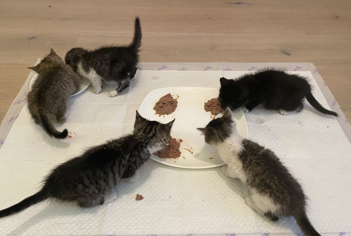 7F34A923-6AD5-4684-B2FD-EF6F53874D92