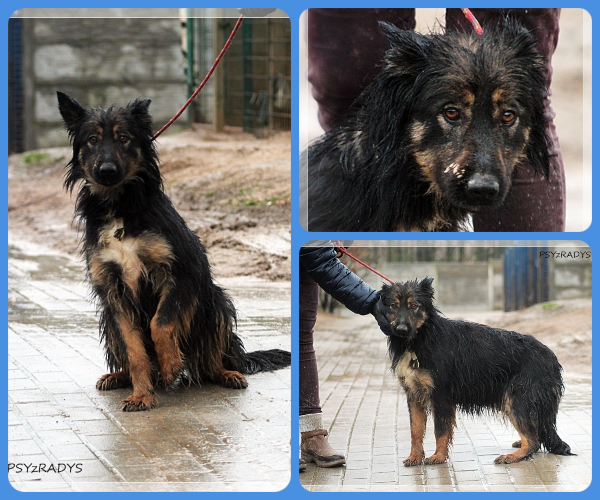 BeFunky-collage (17)