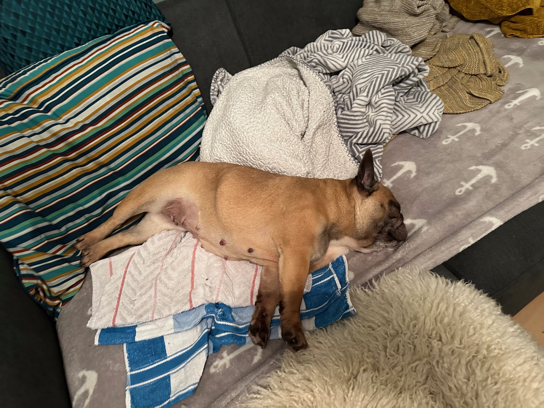 069923EC-270B-439B-8CFF-8BC83930EF8A