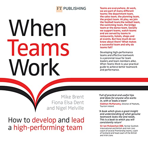 When Teams Work: How to develop and lead a high-performing team