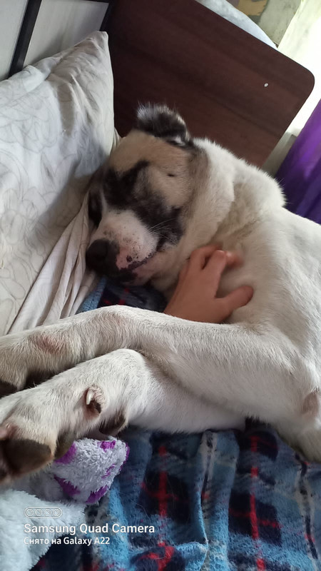 201DF37E-9A73-42A6-BEE0-5F80659317A2