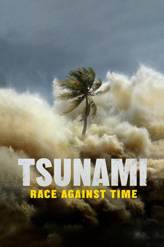 Tsunami: Wyścig z czasem / Tsunami: Race Against Time (2024) (Sezon 1) PL.S01.PL.720p.DSNP.WEB-DL.DDP5.1.H.264-raven / Polski Lektor DDP 5.1