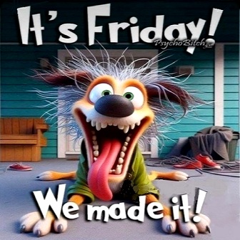 Friday-Crazy-Dog