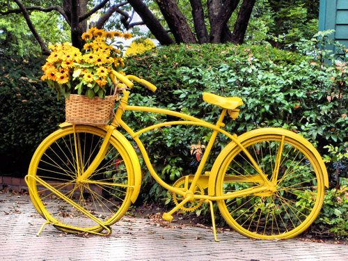 Yellowfloralbike.jpg