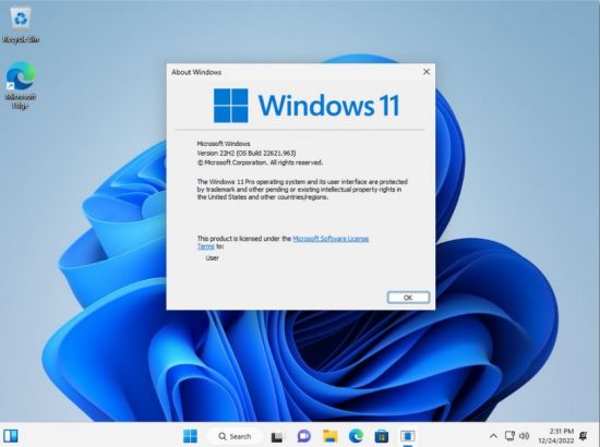 Windows 11 Version 22H2 Build 226621.963 Pro 3in1 OEM ESD MULTi-4 December 2022 No TPM or Secure ... Th-f-Ss8-V82r-RGJ0-IQMu9i-Rf-LWShxv-PIqh-Na