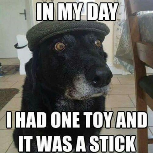 thumbs-picdump737-134.jpg
