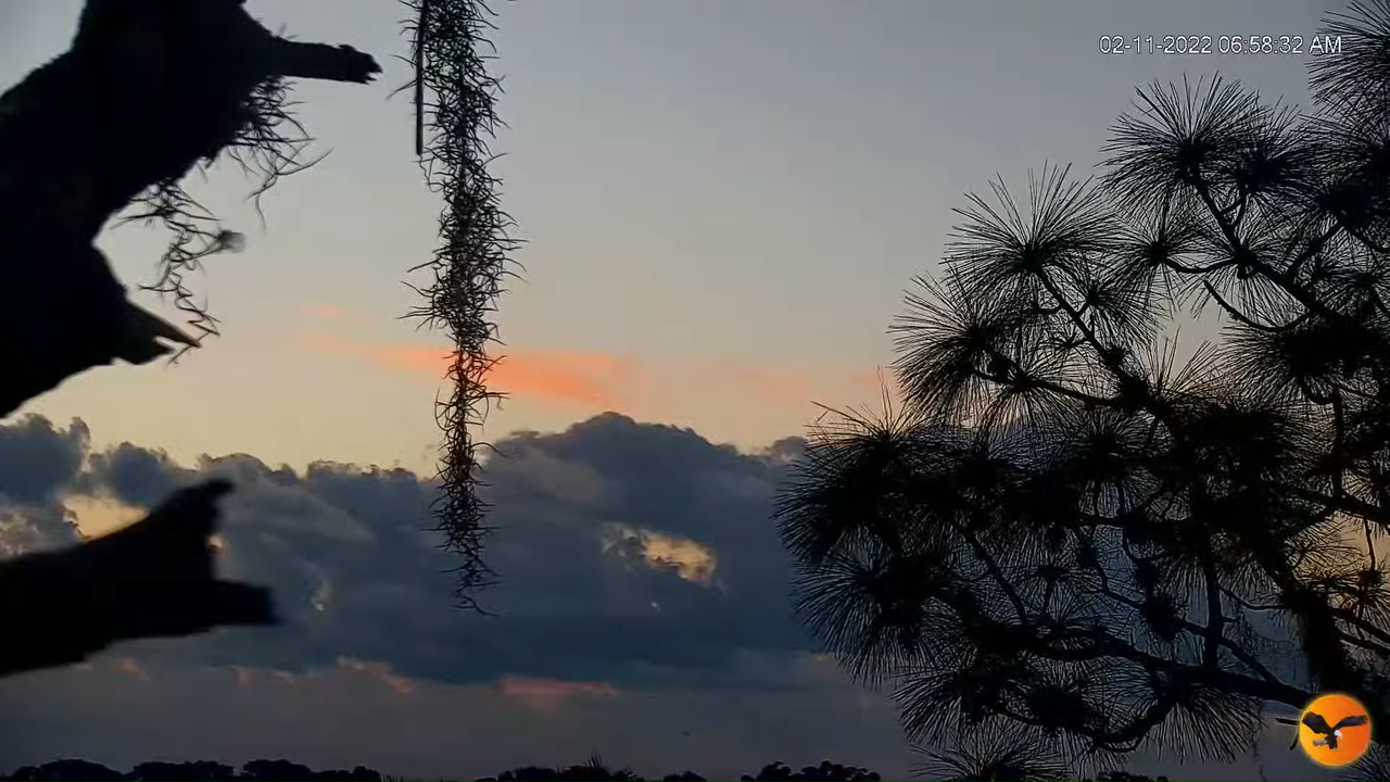 EC Remote Cam 13-0-1 screenshot (1)