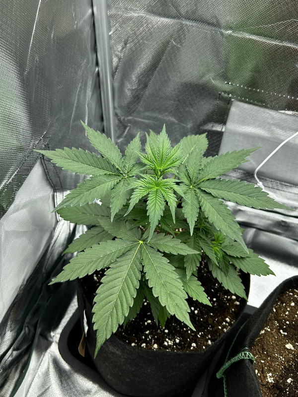 348386485_5652325434866944_2361731170326050500_n (1)