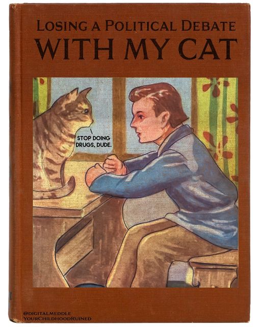 cat-debate.jpg