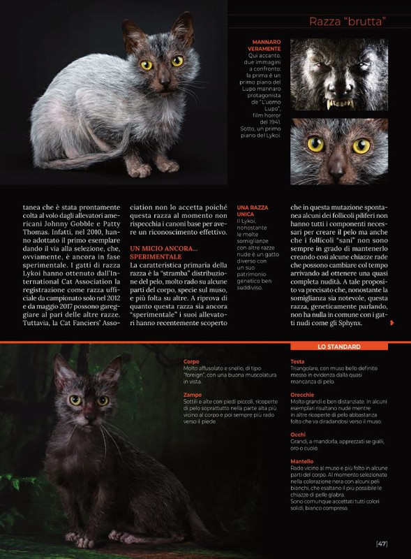 Ga Ma Apr-Mag 2022 (6)