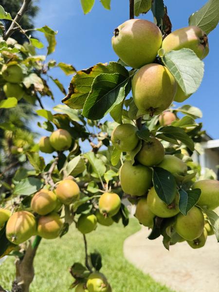 [Image: Full-Size-Render.jpg]