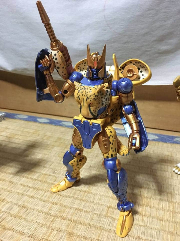 16938590_413135545703545_1108979711334576586_n