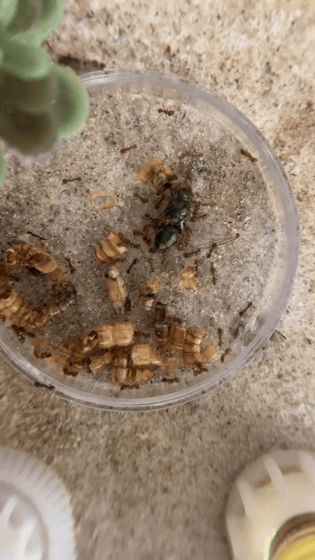 FFE3BF16-EB55-4359-96C6-71D2F991026F