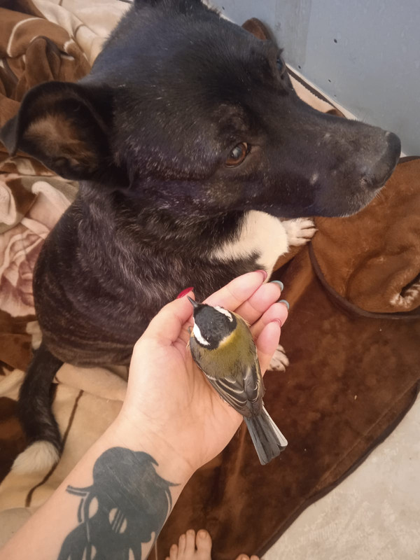 AA0702E9-D698-452B-AD1D-8FA2E6CD34C8