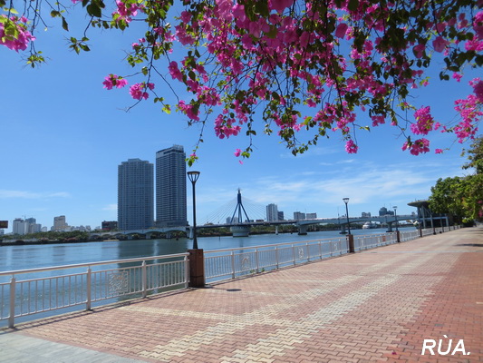 [Image: IMG-6310.jpg]