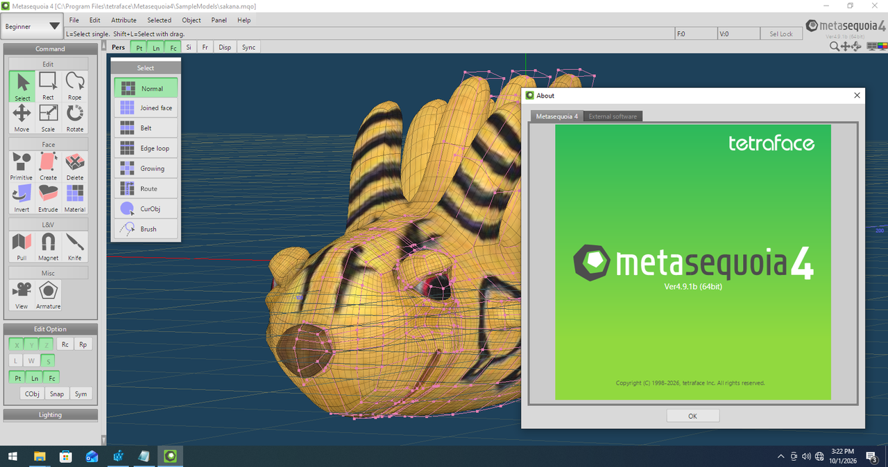 Working with Metasequoia 4.9.1b full license