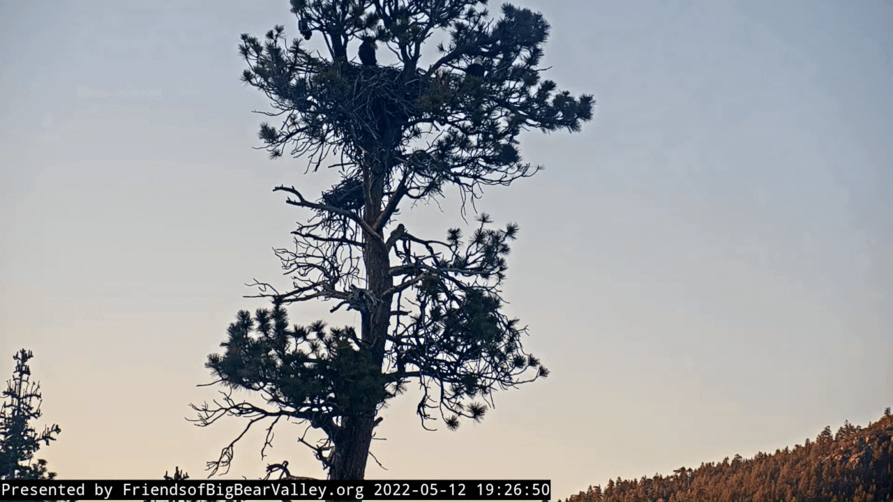 Webp.net-gifmaker (1)