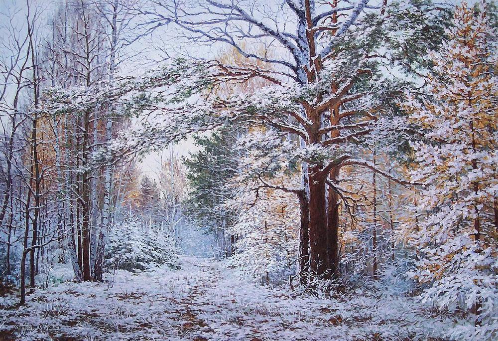 1348492732-544609-pervyj-sneg-75-110sm-x-m