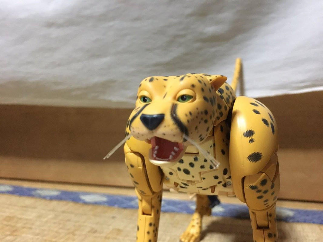 16722669_413135295703570_6096098784050319805_o