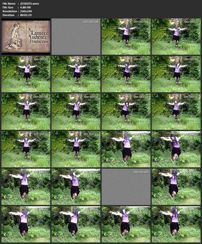 255B255.wmv