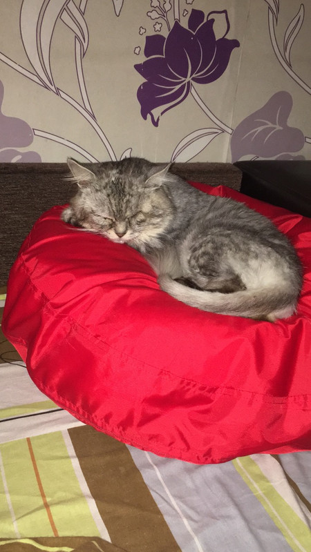 изображение_viber_2019-07-23_09-36-12