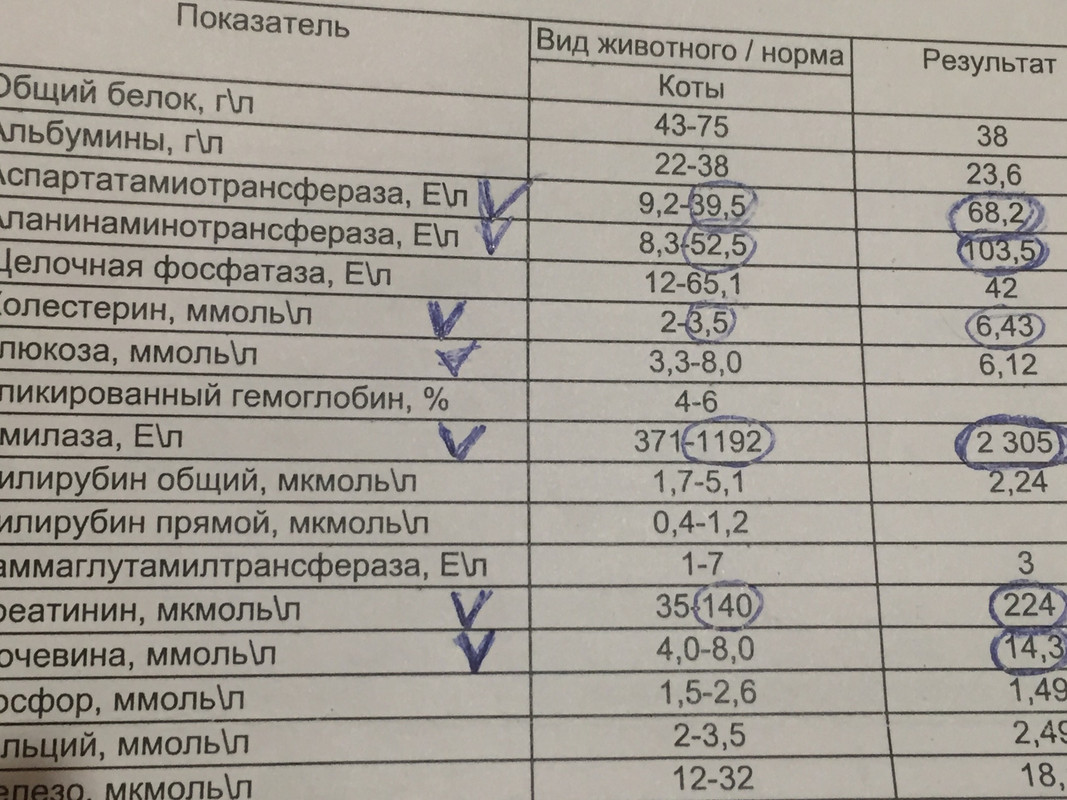 61B4366C-B4B1-4752-90CE-E0B5D633C772