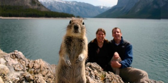 [Image: Animal-Photobomb-01-e1342583215508-560x278.jpg]