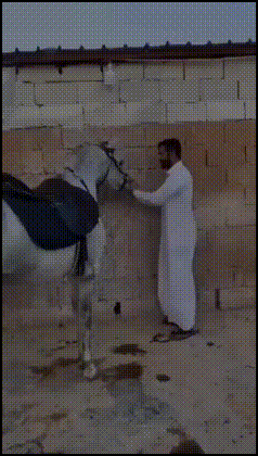 ezgif-3118879e61147b1a