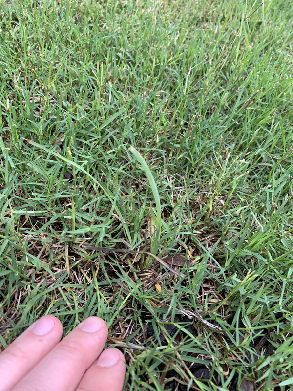 8E69C513-F15D-42AC-8B6A-B0D775A1B27E