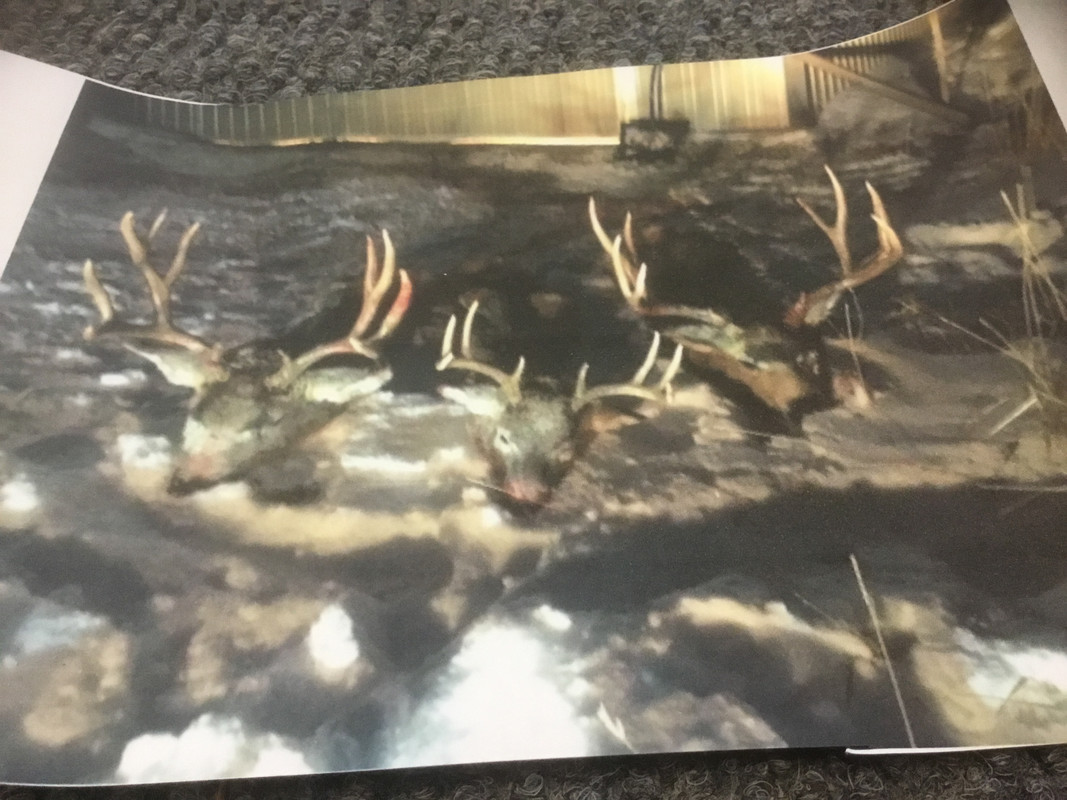 3039AC93-5D54-4860-ABA2-8A463969E753