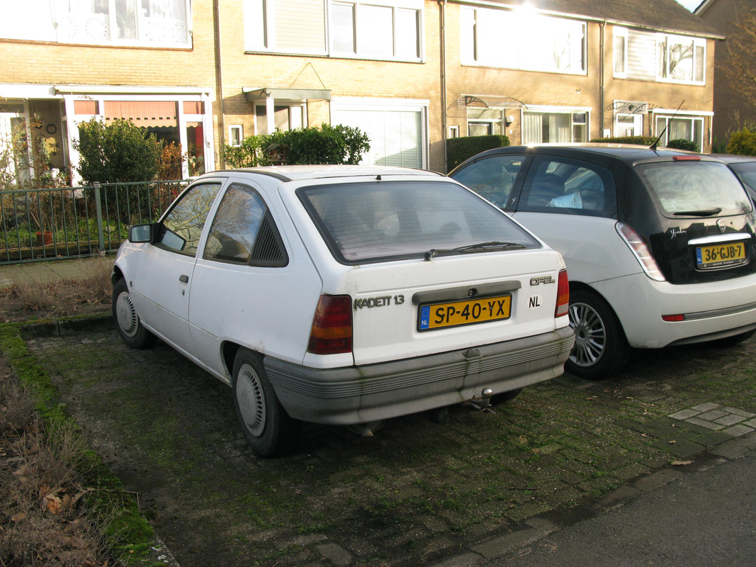 IMG-6694.jpg
