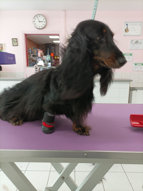 [Image: IMG-20230920-202300.jpg]