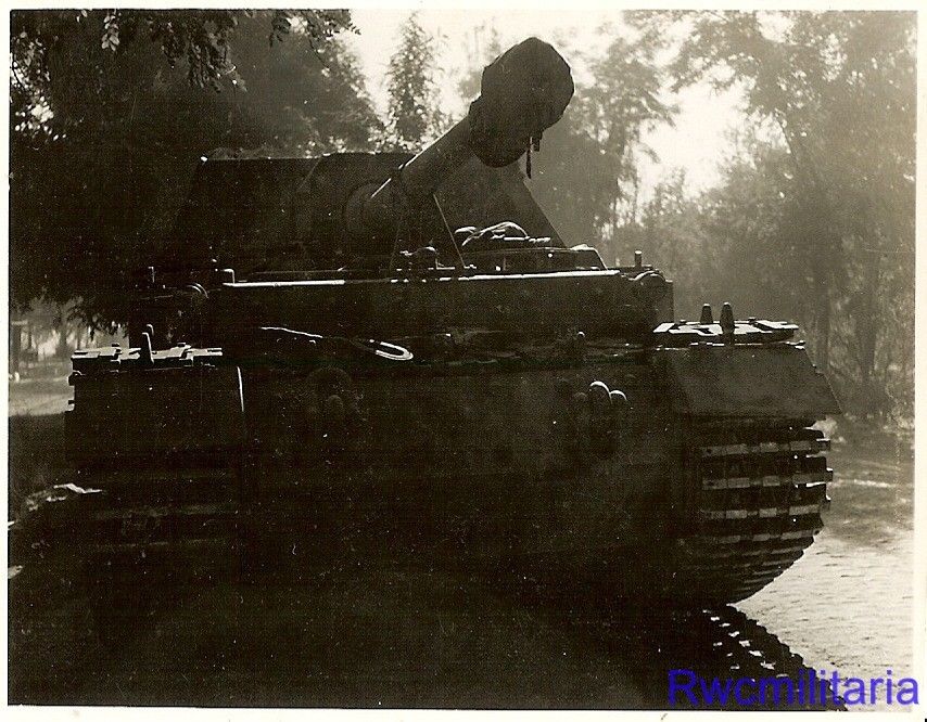 German Ferdinand ELEFANT Panzerjäger Tank Destro