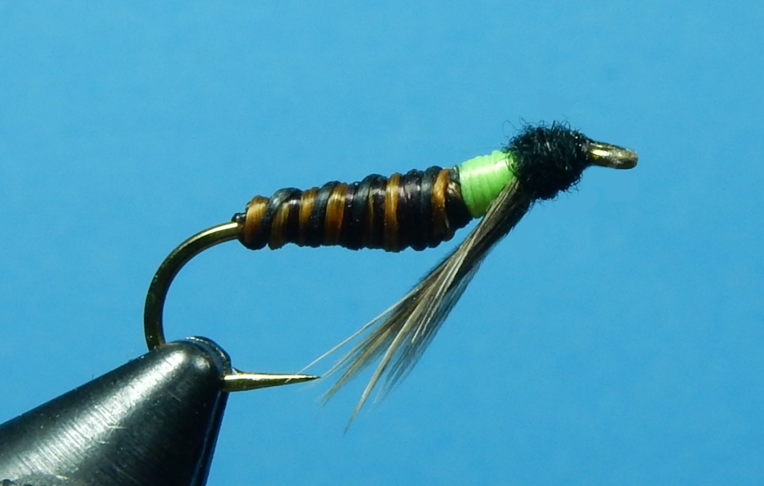 Oscar-Mike-Caddis-1080.jpg