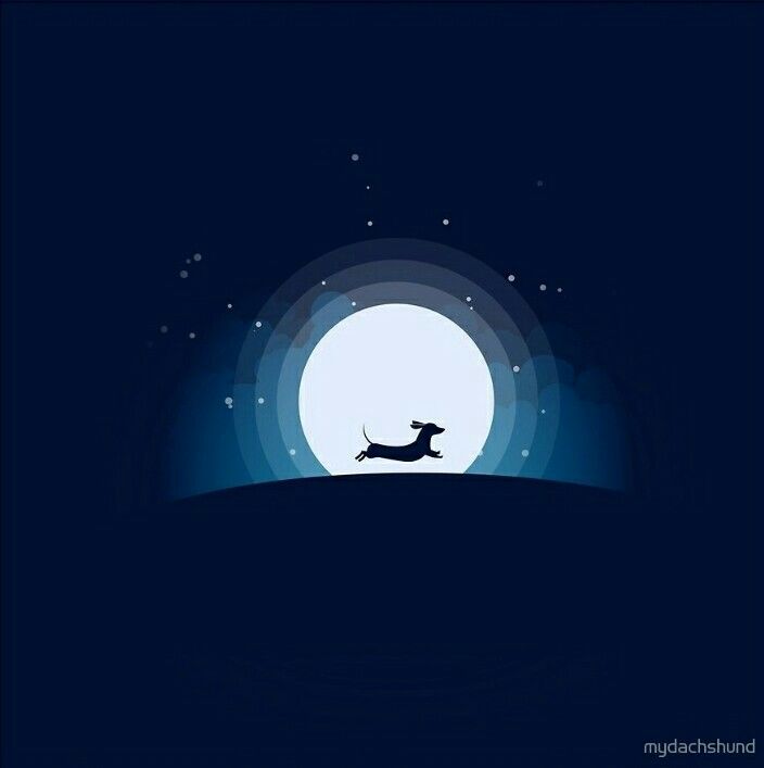 [Image: 5d54b84430412558f6333432c630deb4.jpg]