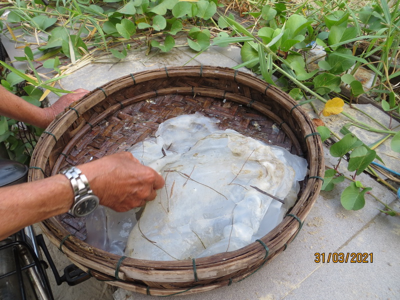 [Image: IMG-8278-resize.jpg]