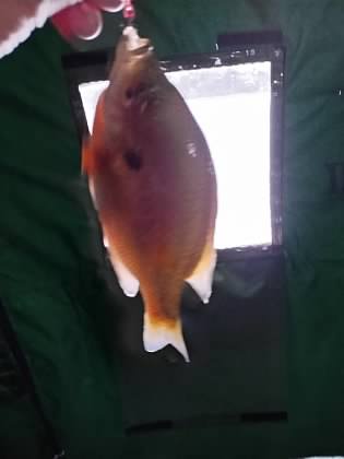 00 t K7fzfmay435sp VYq8Bk Qle WU3TA7JQt XTg Ea M6a6u8d LWMw t POdb Nrpimk G3c Lld MTLfbt J w YVBQ 4i