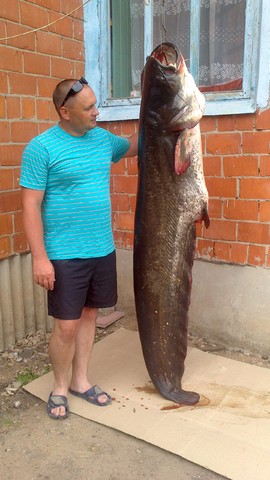 Микл вольф с Волгафишинг 2014