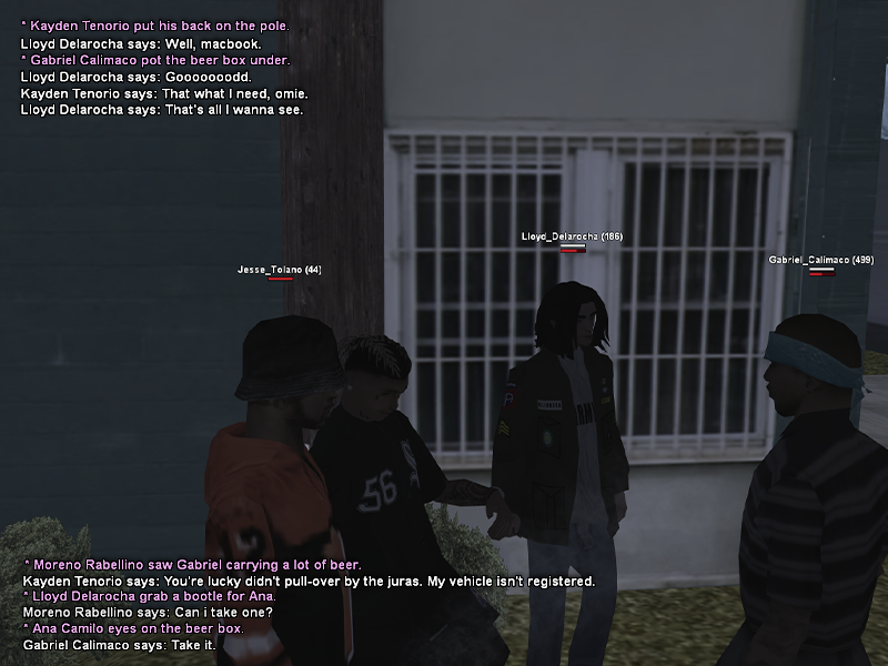SS1.png