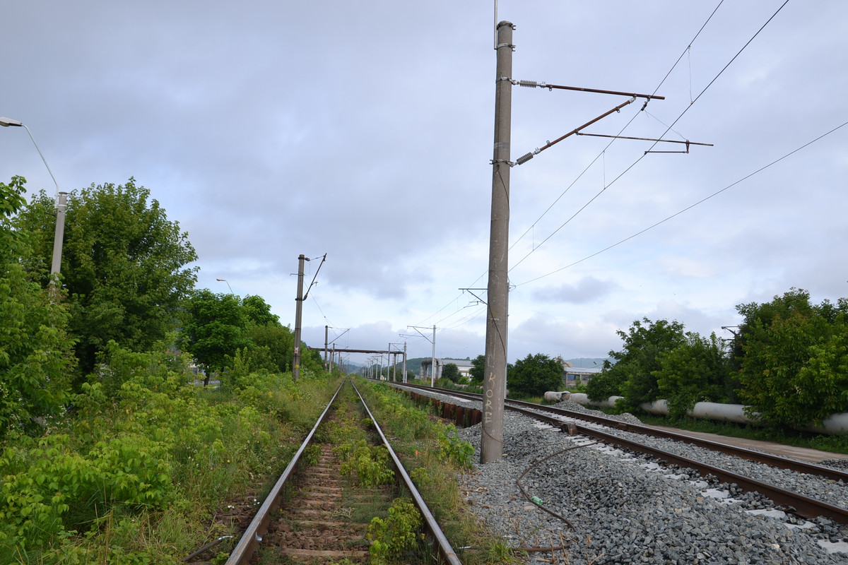 DSC_4452
