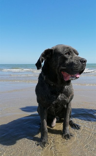 Screenshot_20221230_093400_com.android.gallery3d_edit_868984784611149