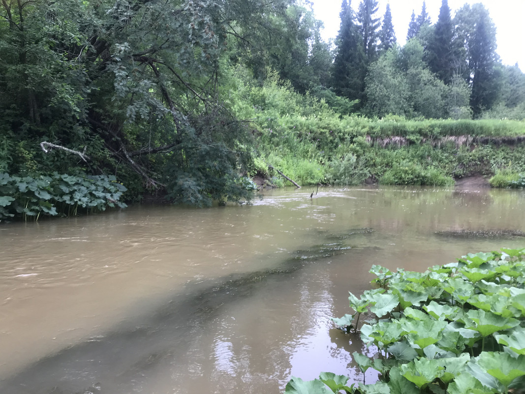 A9D28655-5E21-4320-A79B-20D04C14F8CC