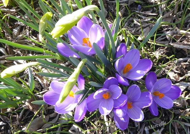 504431448-10227920891783103-7333227846034301610-n