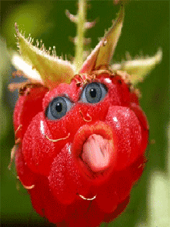 cf40b70125f570809960f6a62956ec0f.gif
