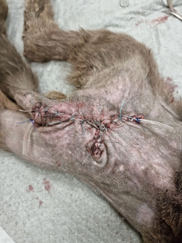 F19A0575-976A-447C-BA50-C07DEA5D7DE5