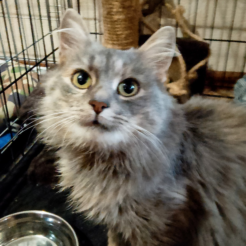 IMG 20251120 140845 2